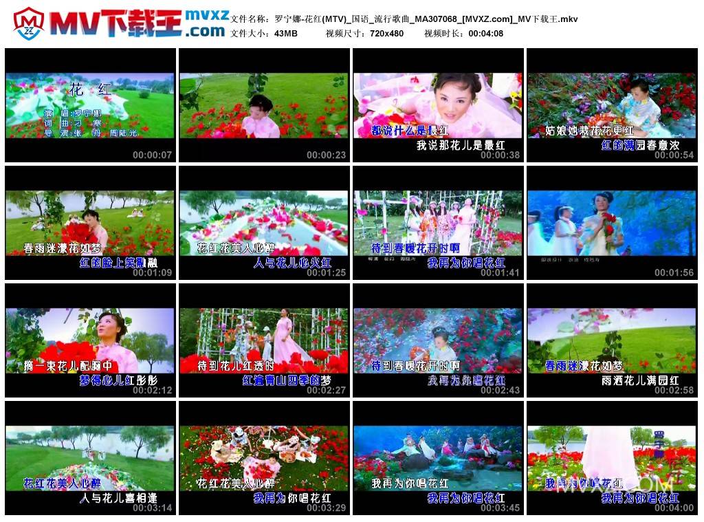 罗宁娜-花红(MTV)_国语_流行歌曲_MA307068